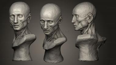 3D модель Статуя без кожи (STL)